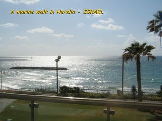A marine walk in Herzlia - ISRAEL 