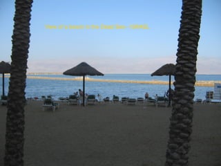 View of a beach in the Dead Sea - ISRAEL 