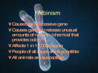 Albinism Caused by a recessive gene Causes genes to release unusual amounts of melanin (chemical that provides color) Affects 1 in 17,000 people People of all races are susceptible All animals are susceptible 