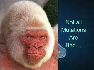 Not all Mutations Are Bad… 