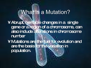 What is a Mutation? Abrupt, heritable changes in a  single gene or a region of a chromosome, can also include alterations in chromosome number Mutations are the fuel for evolution and are the basis for the variation in population. 