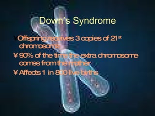 Down’s Syndrome •  Offspring receives 3 copies of 21 st  chromosome 90% of the time the extra chromosome comes from the mother Affects 1 in 800 live births 