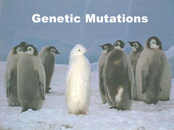 Genetic mutations