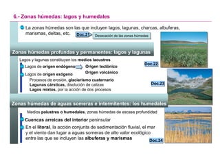 6.- Zonas húmedas: lagos y humedales

      La zonas húmedas son las que incluyen lagos, lagunas, charcas, albuferas,
      marismas, deltas, etc. Doc.21 Desecación de las zonas húmedas
                             Doc.21        Desecación de las zonas húmedas



Zonas húmedas profundas y permanentes: lagos y lagunas
   Lagos y lagunas constituyen los medios lacustres
                                                                       Doc.22
                                                                       Doc.22
     Lagos de origen endógeno        Origen tectónico
     Lagos de origen exógeno         Origen volcánico
       Procesos de erosión, glaciarismo cuaternario
       Lagunas cársticas, disolución de calizas                              Doc.23
                                                                             Doc.23
       Lagos mixtos, por la acción de dos procesos


Zonas húmedas de aguas someras e intermitentes: los humedales
       Medios palustres o humedales, zonas húmedas de escasa profundidad
     Cuencas arreicas del interior peninsular
      En el litoral, la acción conjunta de sedimentación fluvial, el mar
      y el viento dan lugar a aguas someras de alto valor ecológico
      entre las que se incluyen las albuferas y marismas              Doc.24 Doc.24

                                                                                      Santillana
 