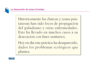 La desecación de zonas húmedas




Doc.21
Doc.21


                                  Santillana
 