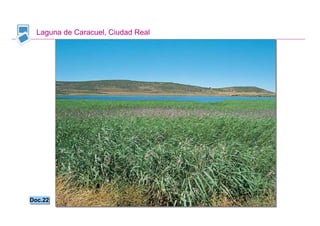 Laguna de Caracuel, Ciudad Real




Doc.22
Doc.22


                                   Santillana
 