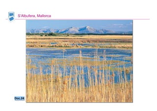 S’Albufera, Mallorca




Doc.24
Doc.24


                        Santillana
 