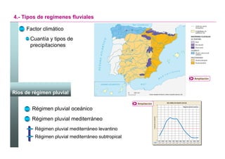 4.- Tipos de regímenes fluviales

     Factor climático
       Cuantía y tipos de
       precipitaciones




                                                                    Ampliación




Ríos de régimen pluvial

                                                    Ampliación

        Régimen pluvial oceánico
        Régimen pluvial mediterráneo
         Régimen pluvial mediterráneo levantino
         Régimen pluvial mediterráneo subtropical


                                                                 Santillana
 
