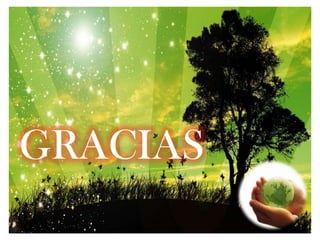 GRACIAS