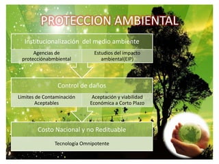 PROTECCION AMBIENTAL