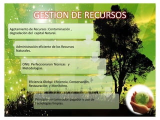 GESTION DE RECURSOS