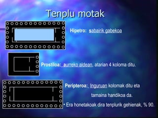 Tenplu motak Hipetro:  s abairik gabekoa   Prostiloa:   a urreko aldean , atarian 4 koloma ditu. Peripteroa:   Inguruan  kolomak ditu eta  tamaina handikoa da.  Era honetakoak dira tenplurik gehienak, % 90. 