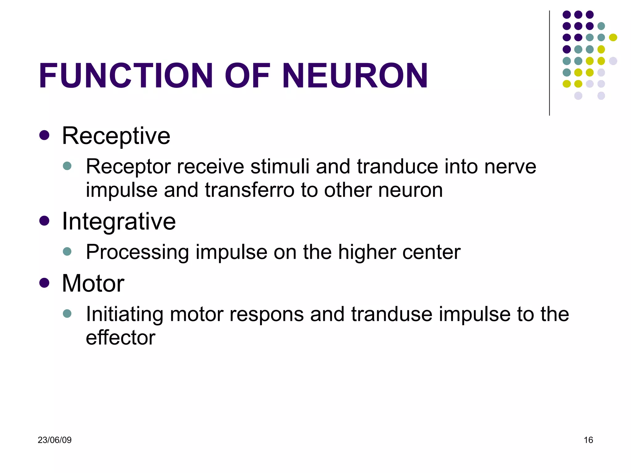 FUNCTION OF NEURON R eceptive Receptor receive stimuli and tranduce into nerve impulse and transferro to other neuron I ntegrative Processing impulse on the higher center M otor Initiating motor respons and tranduse impulse to the effector 23/06/09 
