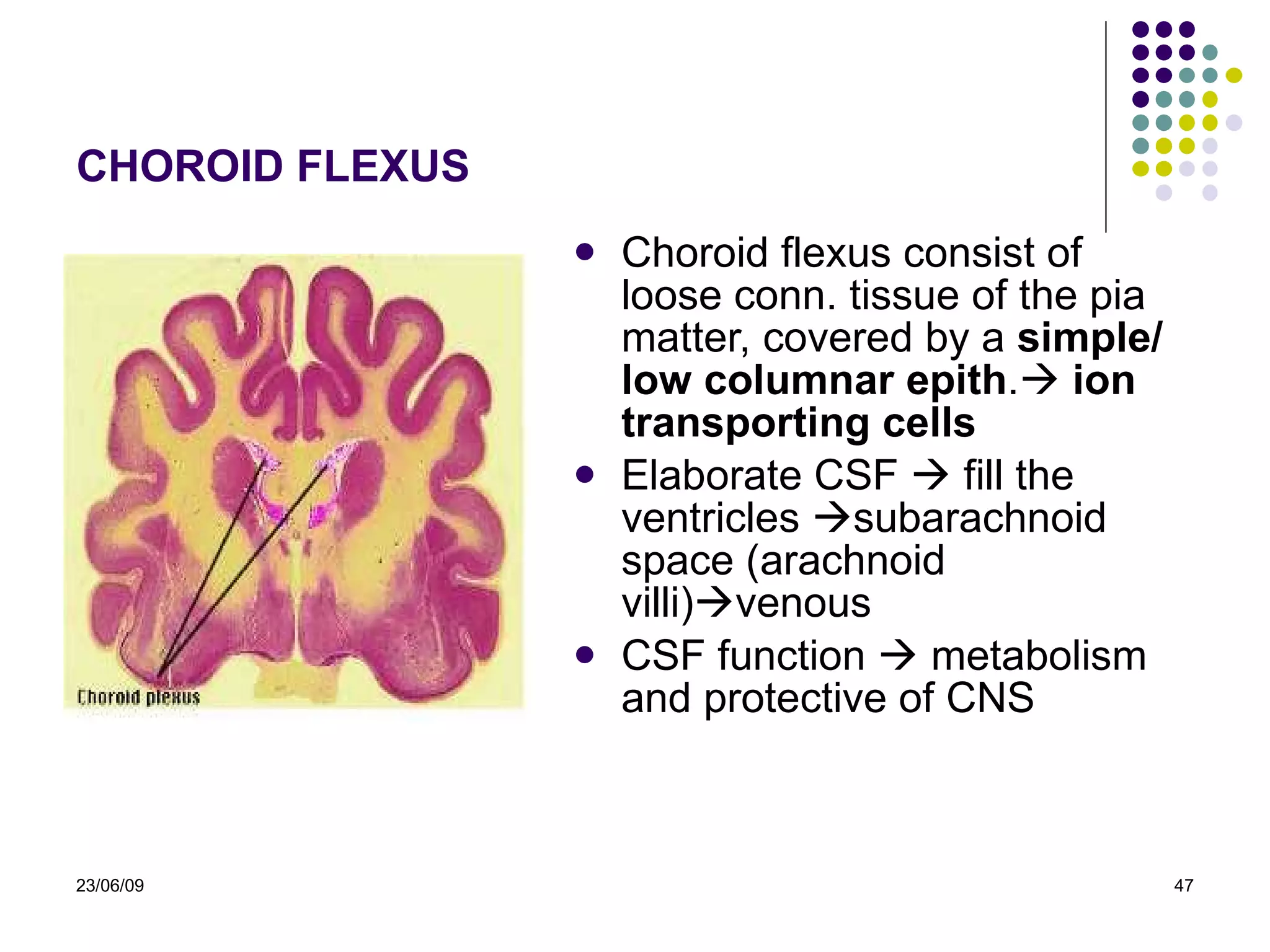 CHOROID FLEXUS  Choroid flexus co nsist  of loose conn .  tissue of the pia matter, covered by a  simple/ low columnar epith .    ion transporting cells Elaborate CSF    fill the ventricles   subarachnoid space (arachnoid villi)  venous CSF function    metabolism and protective of CNS 23/06/09 
