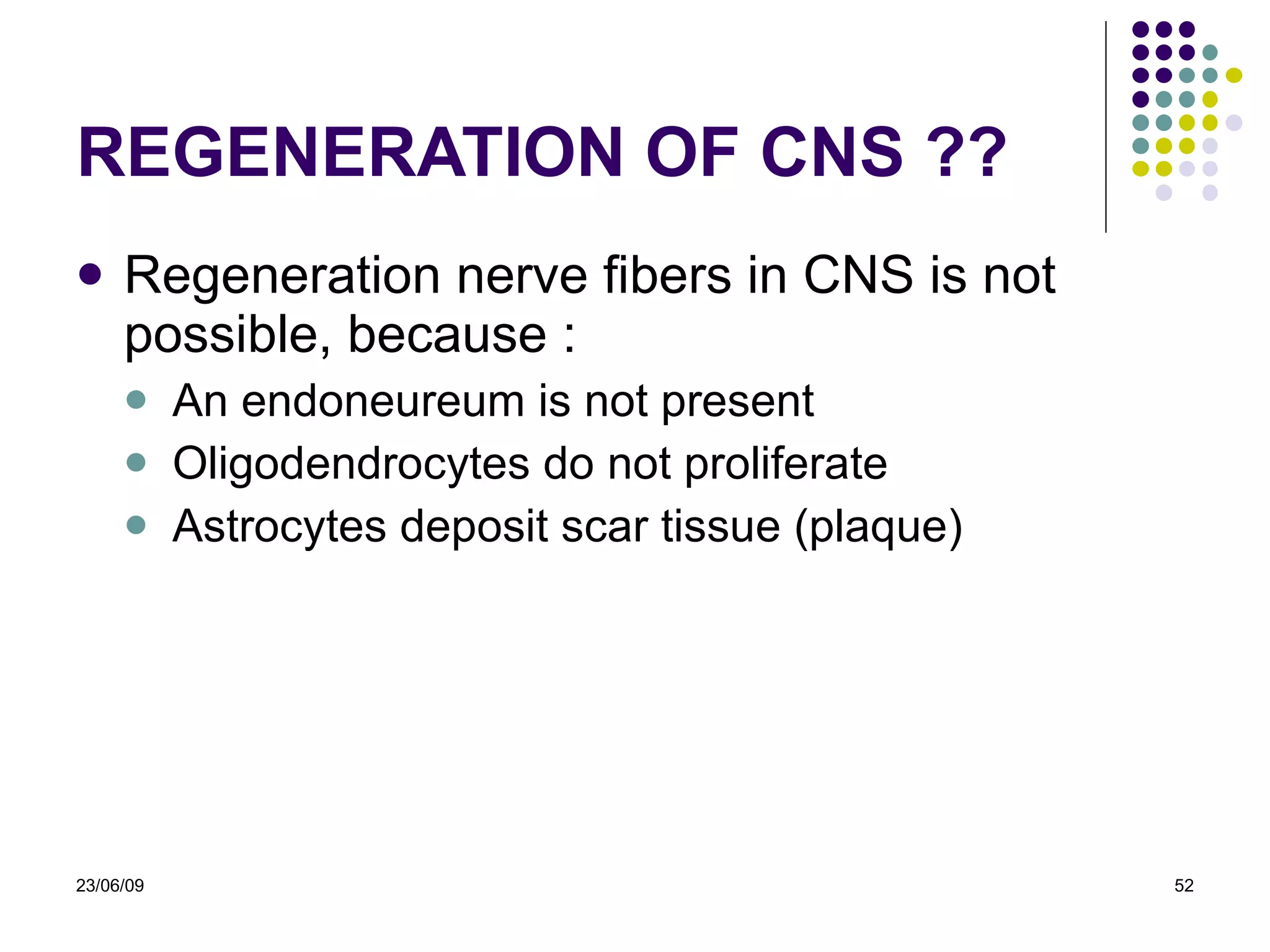 REGENERATION OF CNS ?? Regeneration nerve fibers in CNS is not possible, because : An endoneureum is not present Oligodendrocytes do not proliferate Astrocytes deposit scar tissue (plaque) 23/06/09 