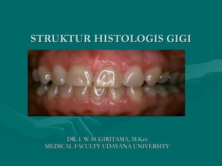 STRUKTUR HISTOLOGIS GIGI DR. I. W. SUGIRITAMA, M.Kes MEDICAL FACULTY UDAYANA UNIVERSITY 