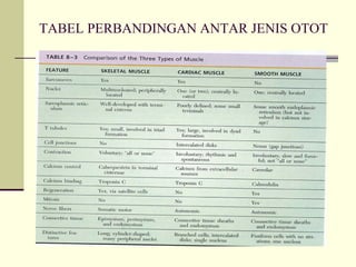 TABEL PERBANDINGAN ANTAR JENIS OTOT
 