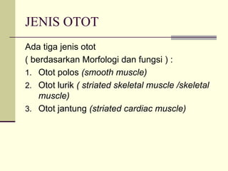 JENIS OTOT
Ada tiga jenis otot
( berdasarkan Morfologi dan fungsi ) :
1. Otot polos (smooth muscle)
2. Otot lurik ( striated skeletal muscle /skeletal
    muscle)
3. Otot jantung (striated cardiac muscle)
 