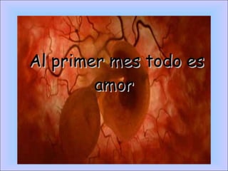Al primer mes todo es amor 