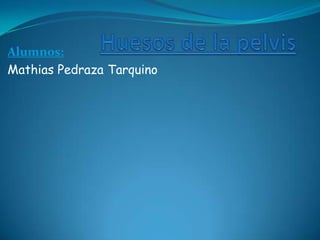 Huesos de la pelvis Alumnos: Mathias Pedraza Tarquino 