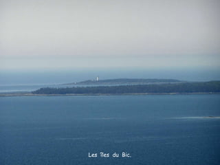 Les  îles  du  Bic. 