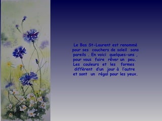 Le Bas St-Laurent est renommé pour ses  couchers de soleil  sans pareils . En voici  quelques-uns , pour vous  faire  rêver un  peu.  Les  couleurs  et  les  formes  diffèrent  d’un  jour à  l’autre  et sont  un  régal pour les yeux. 