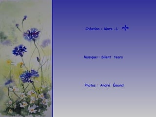 Musique:: Silent  tears Création : Mars -L   Photos : André  Émond 