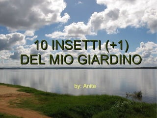 10 INSETTI (+1) DEL MIO GIARDINO by: Anita 