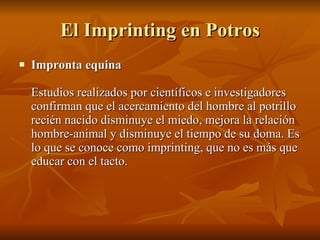 El Imprinting en Potros ,[object Object]