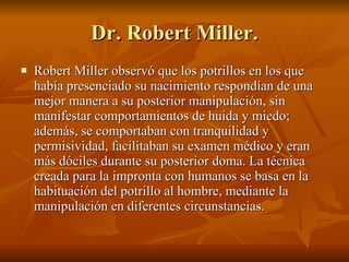 Dr. Robert Miller. Robert Miller observó que los potrillos en los que había presenciado su nacimiento respondían de una mejor manera a su posterior manipulación, sin manifestar comportamientos de huida y miedo; además, se comportaban con tranquilidad y permisividad, facilitaban su examen médico y eran más dóciles durante su posterior doma. La técnica creada para la impronta con humanos se basa en la habituación del potrillo al hombre, mediante la manipulación en diferentes circunstancias.  