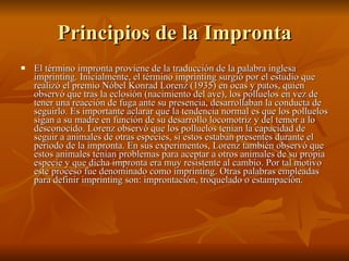 Principios de la Impronta El término impronta proviene de la traducción de la palabra inglesa imprinting. Inicialmente, el término imprinting surgió por el estudio que realizó el premio Nóbel Konrad Lorenz (1935) en ocas y patos, quien observó que tras la eclosión (nacimiento del ave), los polluelos en vez de tener una reacción de fuga ante su presencia, desarrollaban la conducta de seguirlo. Es importante aclarar que la tendencia normal es que los polluelos sigan a su madre en función de su desarrollo locomotriz y del temor a lo desconocido. Lorenz observó que los polluelos tenían la capacidad de seguir a animales de otras especies, si estos estaban presentes durante el periodo de la impronta. En sus experimentos, Lorenz también observó que estos animales tenían problemas para aceptar a otros animales de su propia especie y que dicha impronta era muy resistente al cambio. Por tal motivo este proceso fue denominado como imprinting. Otras palabras empleadas para definir imprinting son: improntación, troquelado o estampación.  