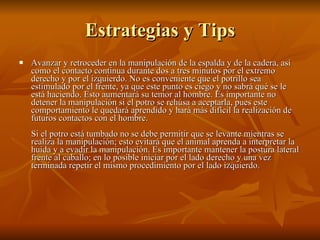 Estrategias y Tips Avanzar y retroceder en la manipulación de la espalda y de la cadera, así como el contacto continua durante dos a tres minutos por el extremo derecho y por el izquierdo. No es conveniente que el potrillo sea estimulado por el frente, ya que este punto es ciego y no sabrá qué se le está haciendo. Esto aumentará su temor al hombre. Es importante no detener la manipulación si el potro se rehúsa a aceptarla, pues este comportamiento le quedará aprendido y hará más difícil la realización de futuros contactos con el hombre.  Si el potro está tumbado no se debe permitir que se levante mientras se realiza la manipulación; esto evitará que el animal aprenda a interpretar la huida y a evadir la manipulación. Es importante mantener la postura lateral frente al caballo; en lo posible iniciar por el lado derecho y una vez terminada repetir el mismo procedimiento por el lado izquierdo.  