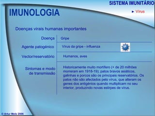 IMUNOLOGIA SISTEMA IMUNITÁRIO © Artur Melo 2006 ►   Vírus Doenças virais humanas importantes Doença Agente patogénico Sintomas e modo de transmissão Vector/reservatório Gripe Vírus da gripe - influenza Humanos, aves Historicamente muito mortífero (+ de 20 milhões morreram em 1918-19); patos bravos asiáticos, galinhas e porcos são os principais reservatórios. Os patos não são afectados pelo vírus, que alteram os genes dos antigénios quando multiplicam no seu interior, produzindo novas estirpes de vírus. 