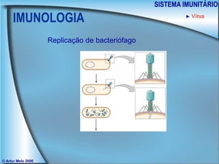 IMUNOLOGIA SISTEMA IMUNITÁRIO © Artur Melo 2006 ►   Vírus Replicação de bacteriófago 