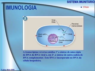 IMUNOLOGIA SISTEMA IMUNITÁRIO © Artur Melo 2006 ►   Vírus A transcriptase reversa catalisa 1º a síntese de uma cópia de DNA do RNA viral e, em 2º, a síntese de outra cadeia de DNA complementar. Este DNA é incorporado no DNA da célula hospedeira. 