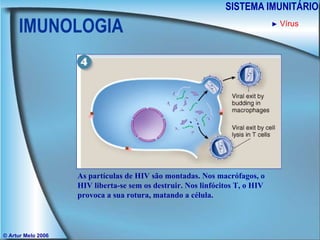 IMUNOLOGIA SISTEMA IMUNITÁRIO © Artur Melo 2006 ►   Vírus As partículas de HIV são montadas. Nos macrófagos, o HIV liberta-se sem os destruir. Nos linfócitos T, o HIV provoca a sua rotura, matando a célula. 