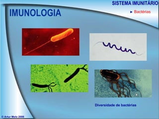 IMUNOLOGIA SISTEMA IMUNITÁRIO © Artur Melo 2006 ►   Bactérias Diversidade de bactérias 