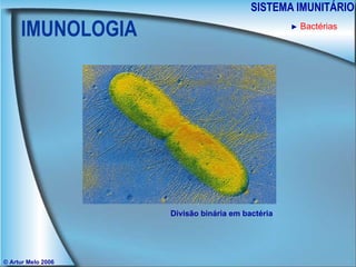 IMUNOLOGIA SISTEMA IMUNITÁRIO © Artur Melo 2006 ►   Bactérias Divisão binária em bactéria 