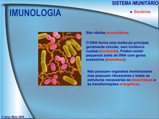 IMUNOLOGIA SISTEMA IMUNITÁRIO © Artur Melo 2006 ►   Bactérias São células  procarióticas . O DNA forma uma molécula principal, geralmente circular, sem invólucro nuclear ( nucleóide ). Podem existir pequenos anéis de DNA com genes acessórios ( plamídeos ). Não possuem organelos membranares mas possuem ribossomas e todas as estruturas necessárias às  biossínteses  e às transformações  energéticas . 