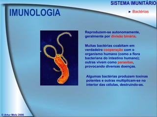 IMUNOLOGIA SISTEMA IMUNITÁRIO © Artur Melo 2006 ►   Bactérias Reproduzem-se autonomamente, geralmente por  divisão binária . Muitas bactérias coabitam em  verdadeira  cooperação  com o organismo humano (como a flora bacteriana do intestino humano); outras vivem como  parasitas , provocando diversas doenças. Algumas bactérias produzem toxinas potentes e outras multiplicam-se no interior das células, destruindo-as. 