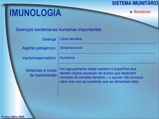 IMUNOLOGIA SISTEMA IMUNITÁRIO © Artur Melo 2006 ►   Bactérias Doenças bacterianas humanas importantes Doença Agente patogénico Sintomas e modo de transmissão Vector/reservatório Cárie dentária Streptococcus Humanos Um agrupamento desta bactéria à superfície dos dentes origina secreção de ácidos que destroem minerais do esmalte dentário – o açúcar não provoca cárie mas sim as bactérias que se alimentam dele. 