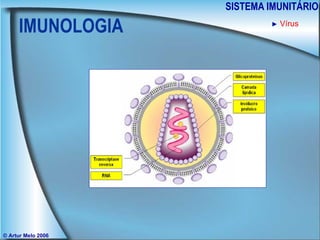 IMUNOLOGIA SISTEMA IMUNITÁRIO © Artur Melo 2006 ►   Vírus 
