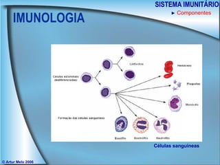 IMUNOLOGIA SISTEMA IMUNITÁRIO © Artur Melo 2006 ►   Componentes Células sanguíneas 