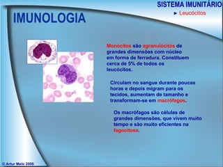 IMUNOLOGIA SISTEMA IMUNITÁRIO © Artur Melo 2006 ►   Leucócitos Monócitos  são  agranulócitos  de grandes dimensões com núcleo em forma de ferradura. Constituem cerca de 5% de todos os leucócitos. Circulam no sangue durante poucas horas e depois migram para os tecidos, aumentam de tamanho e transformam-se em  macrófagos . Os macrófagos são células de grandes dimensões, que vivem muito tempo e são muito eficientes na  fagocitose . 
