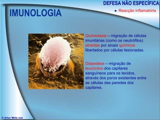 IMUNOLOGIA DEFESA NÃO ESPECÍFICA © Artur Melo  2006 ►   Reacção inflamatória Quimiotaxia  – migração de células imunitárias (como os neutrófilos)  atraídas  por sinais  químicos  libertados por células lesionadas. Diapedese  – migração de  leucócitos  dos capilares sanguíneos para os tecidos, através dos poros existentes entre as células das paredes dos capilares. 