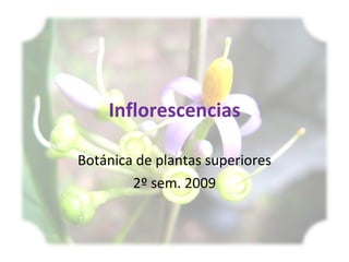 Inflorescencias Botánica de plantas superiores 2º sem. 2009 