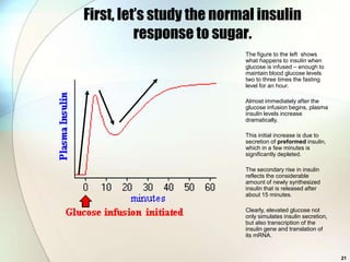 First, let’s study the normal insulin
          response to sugar.
                           The figure to the left shows
                           what happens to insulin when
                           glucose is infused – enough to
                           maintain blood glucose levels
                           two to three times the fasting
                           level for an hour.

                           Almost immediately after the
                           glucose infusion begins, plasma
                           insulin levels increase
                           dramatically.

                           This initial increase is due to
                           secretion of preformed insulin,
                           which in a few minutes is
                           significantly depleted.

                           The secondary rise in insulin
                           reflects the considerable
                           amount of newly synthesized
                           insulin that is released after
                           about 15 minutes.

                           Clearly, elevated glucose not
                           only simulates insulin secretion,
                           but also transcription of the
                           insulin gene and translation of
                           its mRNA.


                                                               21
 