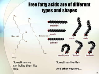 Free fatty acids are of different
                   types and shapes




Sometimes we              Sometimes like this.
symbolize them like
this.                     And other ways too…
                                                 39
 