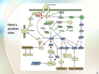 Here’s
another
view.




          55
 