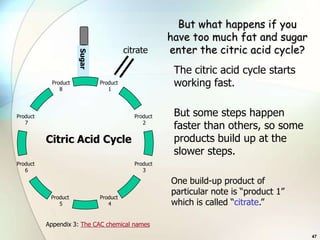 But what happens if you
                                                      have too much fat and sugar
                                                      enter the citric acid cycle?

                      Fat
                                         citrate


                       Sugar
                                                       The citric acid cycle starts
            Product
               8
                               Product
                                  1
                                                       working fast.

Product                                     Product    But some steps happen
   7                                           2
                                                       faster than others, so some
          Citric Acid Cycle                            products build up at the
                                                       slower steps.
Product                                     Product
   6                                           3

                                                      One build-up product of
                                                      particular note is “product 1”
           Product             Product
              5                   4                   which is called “citrate.”

          Appendix 3: The CAC chemical names
                                                                                       47
 